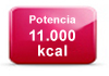 potencia-calefaccion-biomasa-11000kcal