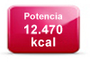 potencia-calefaccion-biomasa-12470kcal