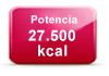 potencia-calefaccion-biomasa-27500kcal
