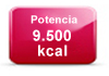 potencia-calefaccion-biomasa-9500kcal